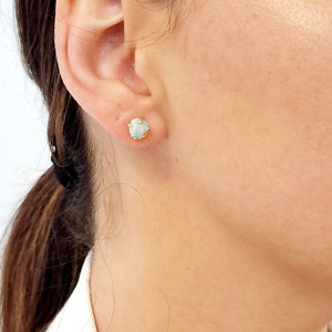Raw Crystal Earrings - Larimar